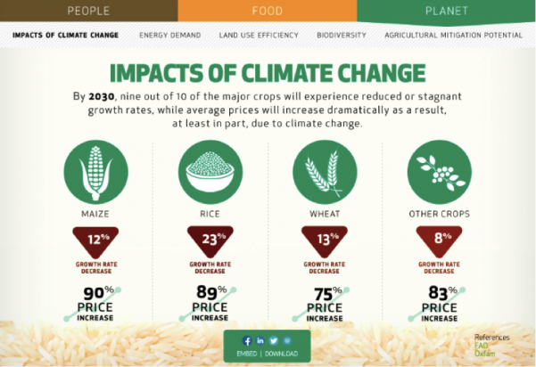 Image result for impact of climate change on poverty