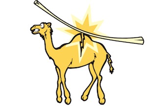 camels_back_featured_image.png?w=646