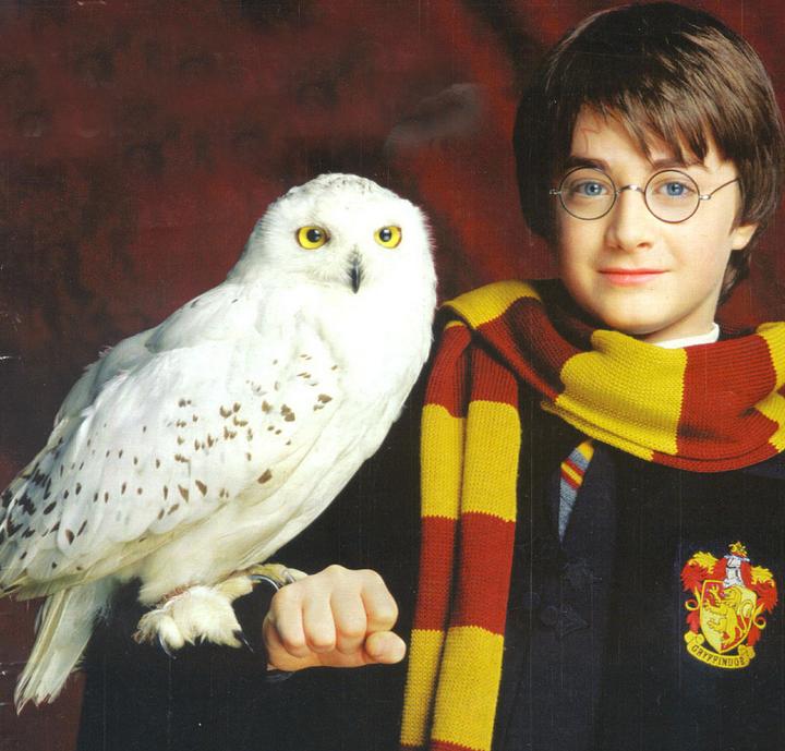 harry potter és a főnix rendje teljes film online