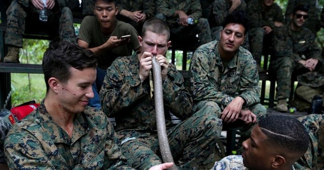 A-US-Marine-inflates-a-cobra-skin-after-removing-its-entrails-during-a-jungle-survival-exercise-as.jpg