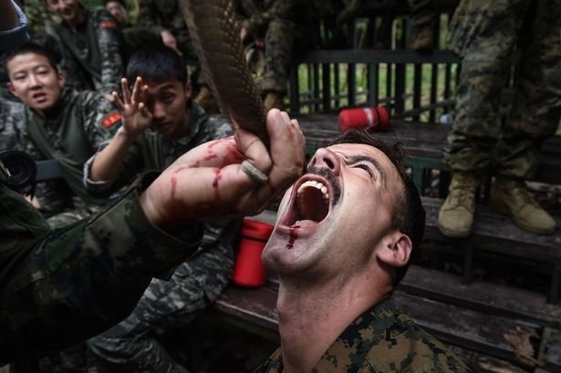 A-US-marine-is-fed-the-blood-of-a-cobra.jpg
