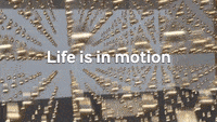 Life is in motion