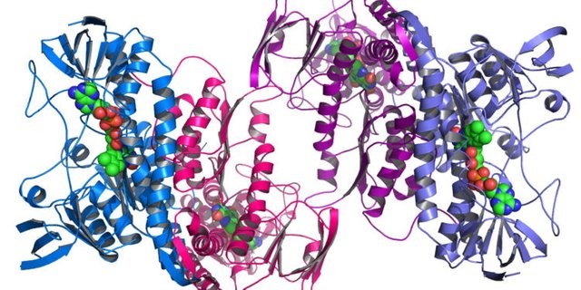 Argonnes_Midwest_Center_for_Structural_Genomics_deposits_1000th_protein_structure-750x375.jpg