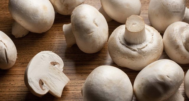 blog-featured_mushrooms-20180515.jpg